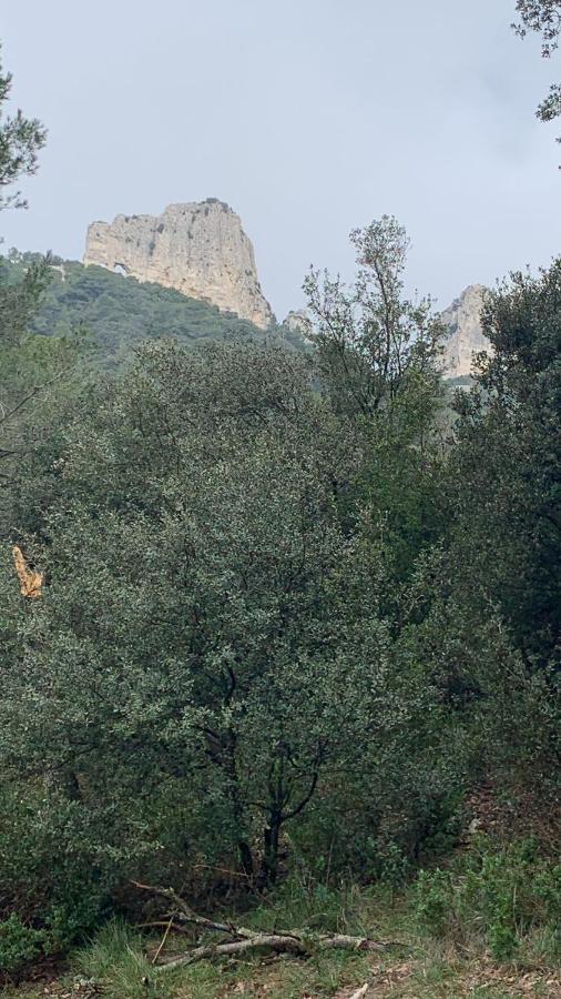Mazet Le Micocoulier Saint-Remy-de-Provence